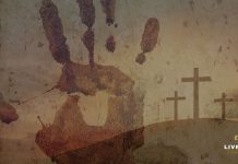 Livro de Daniel – Não perca sua identidade na Babilônia