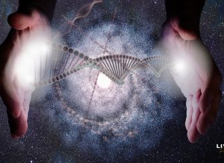 O sistema de cordas de Deus